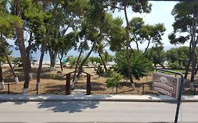 Ενοικιαζόμενα Δωμάτια Πιτσαδιώτη